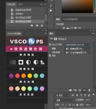 VSCO,插件,PS.