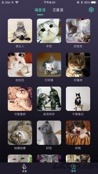 刺激战场变声器手机版下载,刺激战场,游戏工具